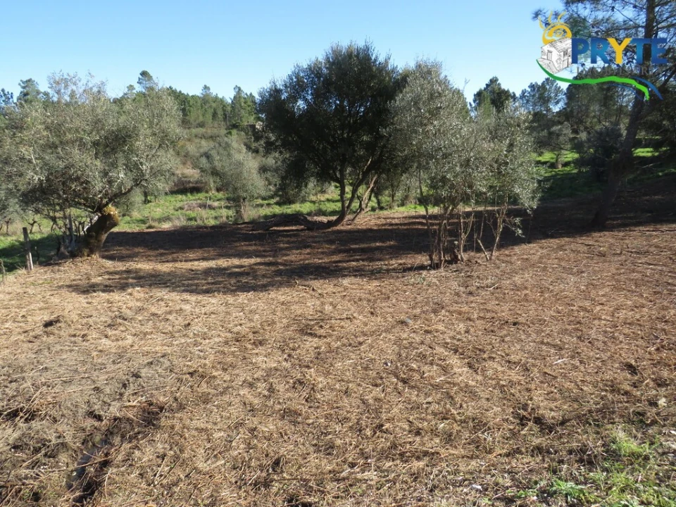 Terreno para Venda em Fundada Foto 8