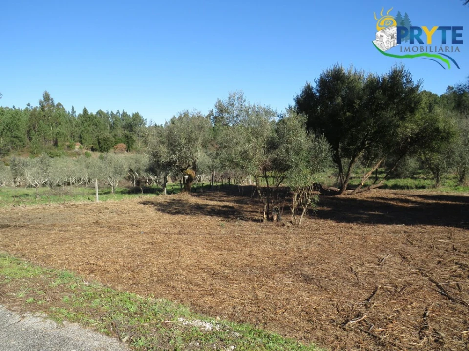 Terreno para Venda em Fundada Foto 10
