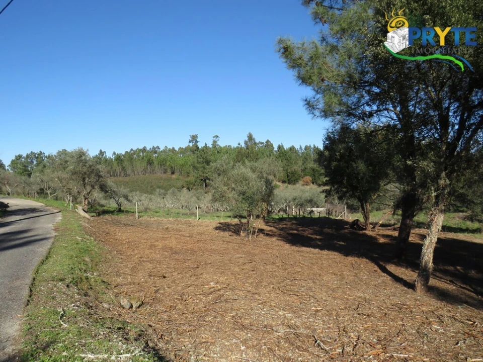 Terreno para Venda em Fundada Foto 11