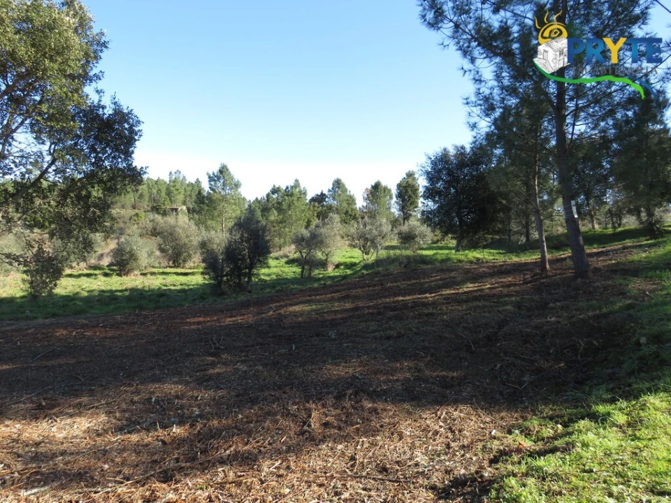 Terreno para Venda em Fundada Foto 12