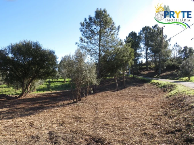 Terreno para Venda em Fundada Foto 1