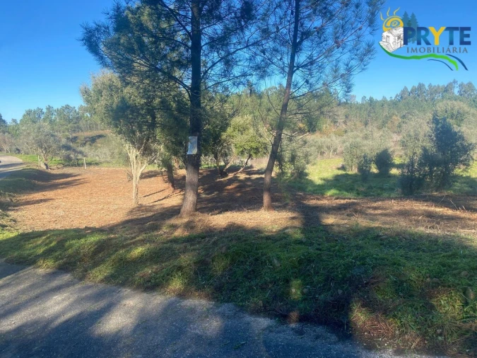 Terreno para Venda em Fundada Foto 2