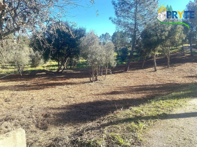 Terreno para Venda em Fundada Foto 4