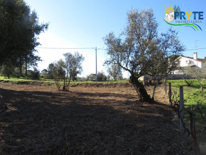 Terreno para Venda em Fundada Foto 6