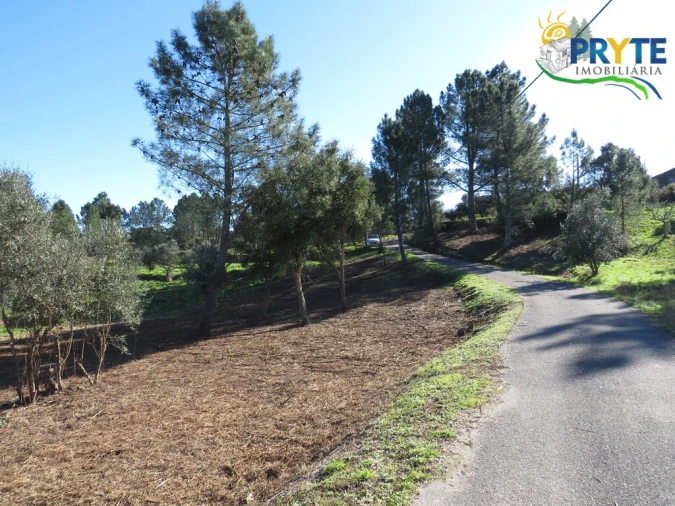 Terreno para Venda em Fundada Foto 9