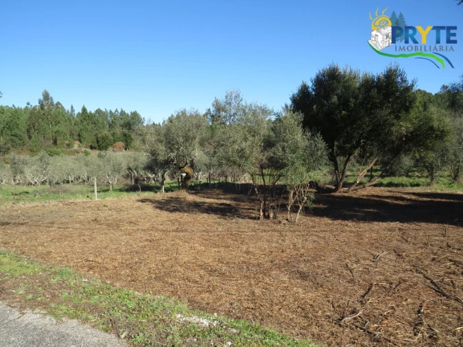 Terreno para Venda em Fundada Foto 10
