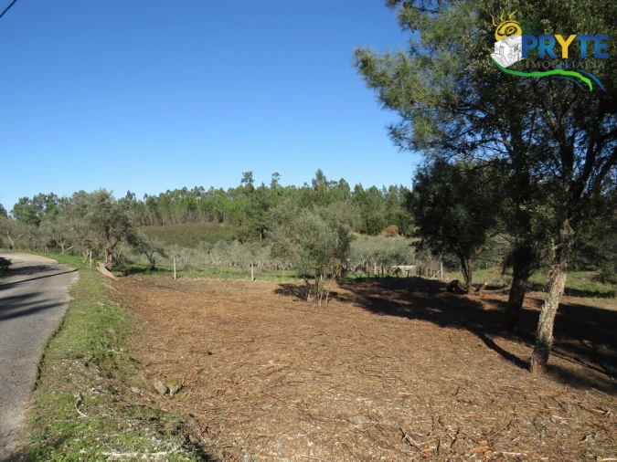 Terreno para Venda em Fundada Foto 11