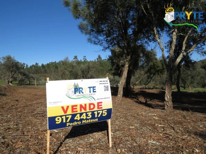 Terreno para Venda em Fundada Foto 13