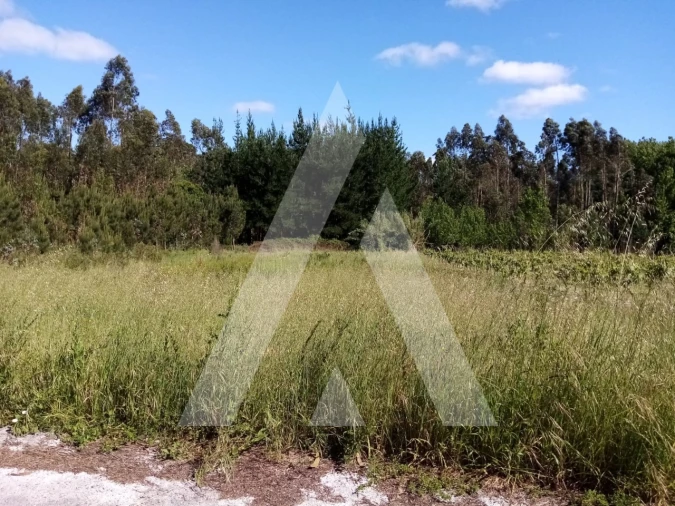 Terreno para Venda em Vilarinho do Bairro Foto 3