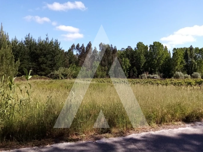 Terreno para Venda em Vilarinho do Bairro Foto 4