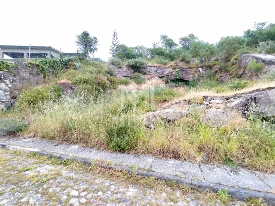 Terreno para Venda em Ancora Foto 9