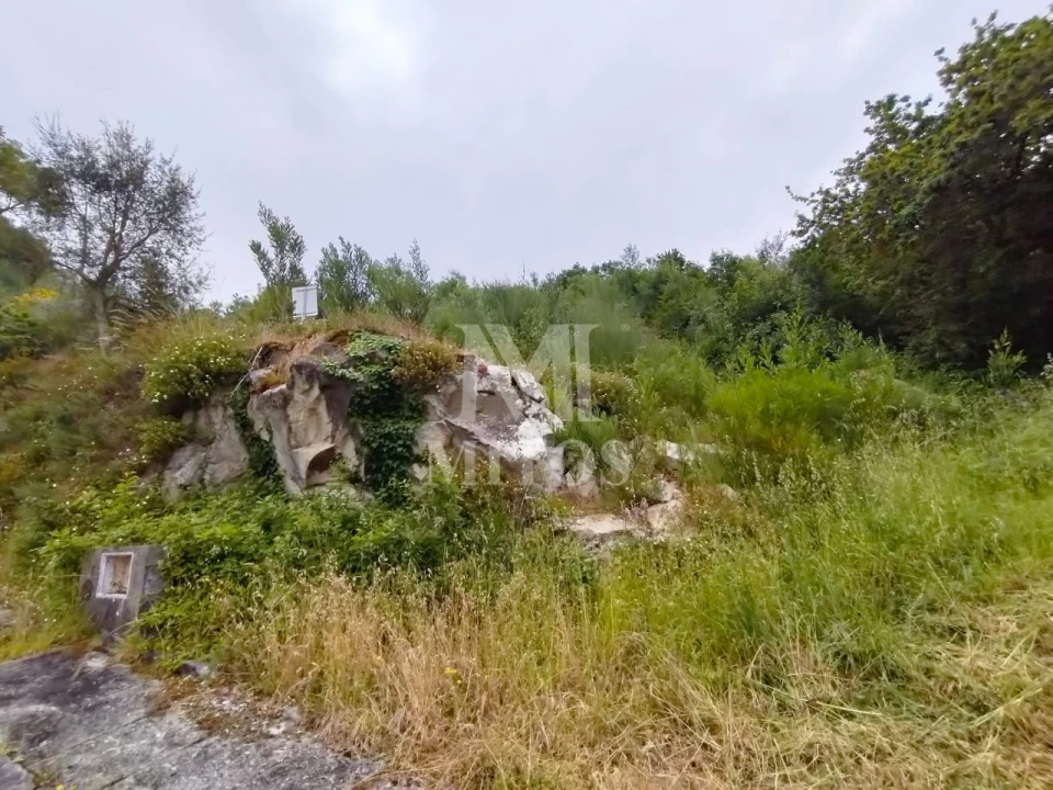 Terreno para Venda em Ancora Foto 5