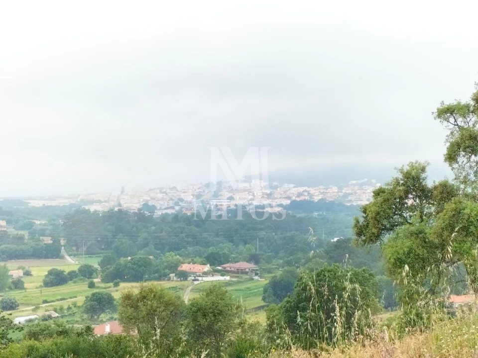 Terreno para Venda em Ancora Foto 12