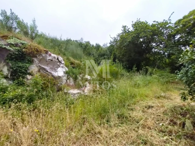 Terreno para Venda em Ancora Foto 4