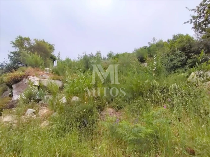 Terreno para Venda em Ancora Foto 3