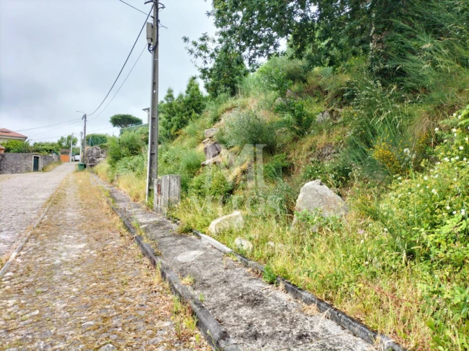 Terreno para Venda em Ancora Foto 11