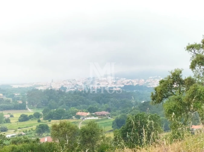 Terreno para Venda em Ancora Foto 12
