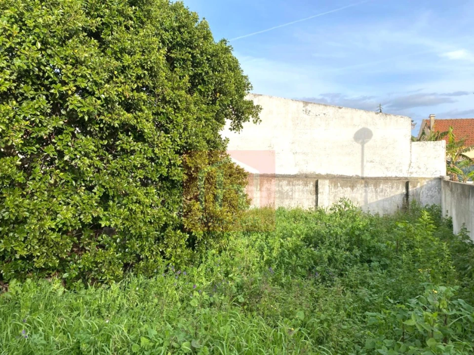 Terreno para Venda em São Francisco Foto 8