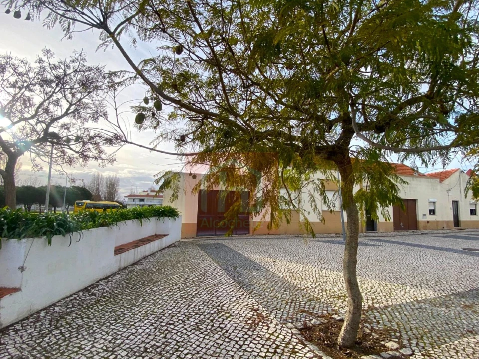 Terreno para Venda em São Francisco Foto 13