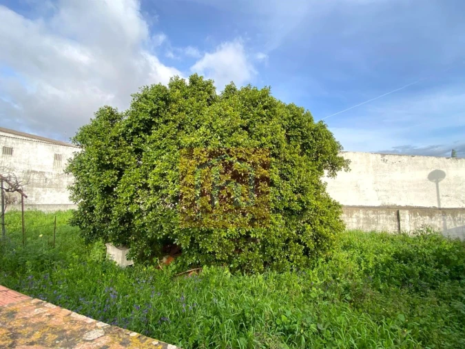 Terreno para Venda em São Francisco Foto 4