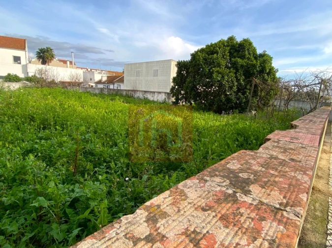 Terreno para Venda em São Francisco Foto 3