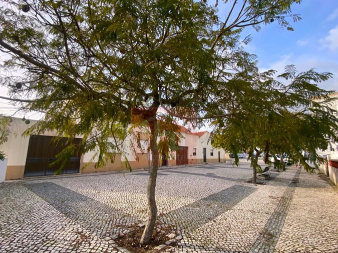 Terreno para Venda em São Francisco Foto 9