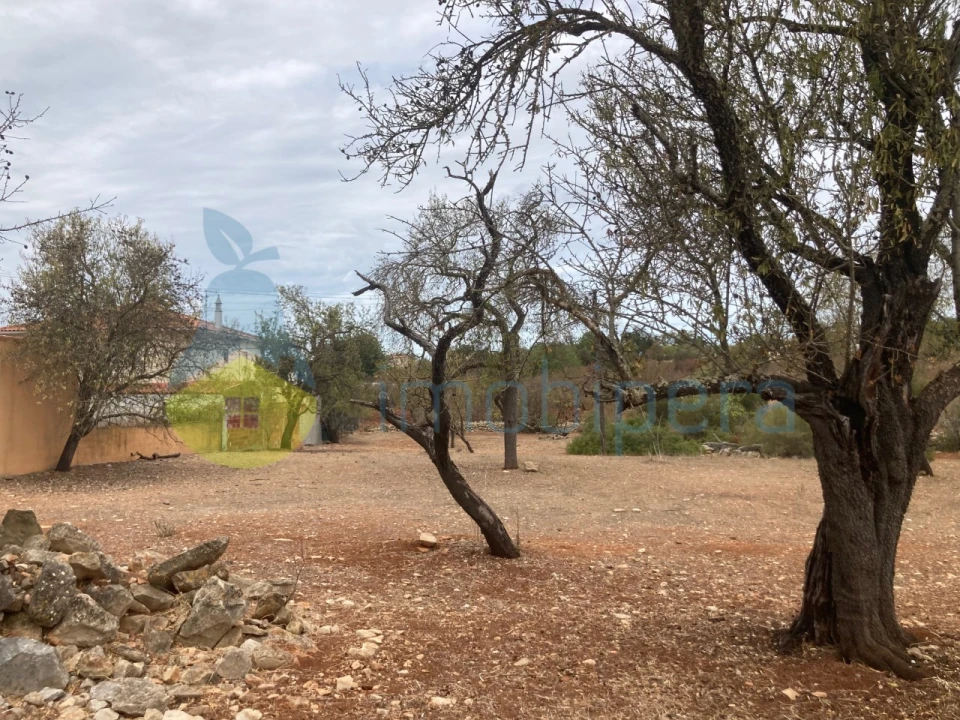 Terreno Misto para Venda em Paderne Foto 2