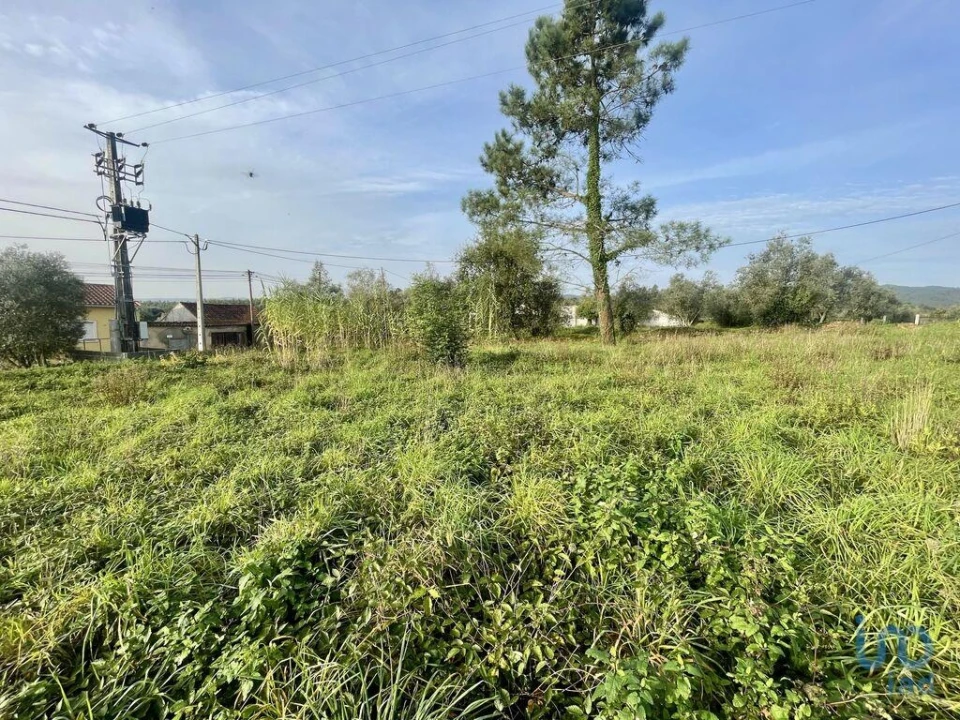 Terreno para Venda em Arrifana Foto 2