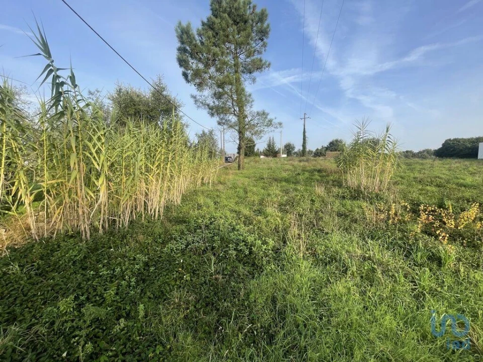 Terreno para Venda em Arrifana Foto 5
