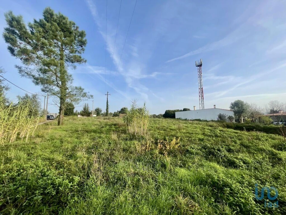 Terreno para Venda em Arrifana Foto 1