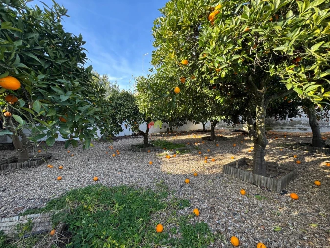 Moradia T6 para Venda em Vidigueira Foto 58