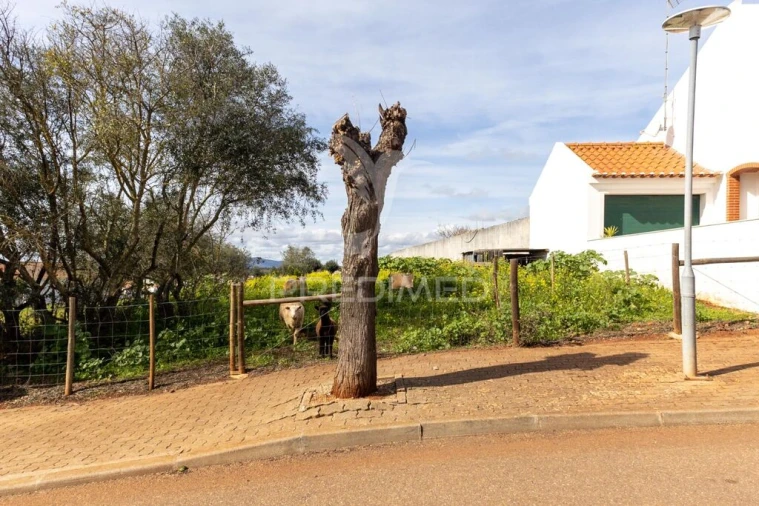 Terreno para Venda em Capelins (Santo Antonio) Foto 6