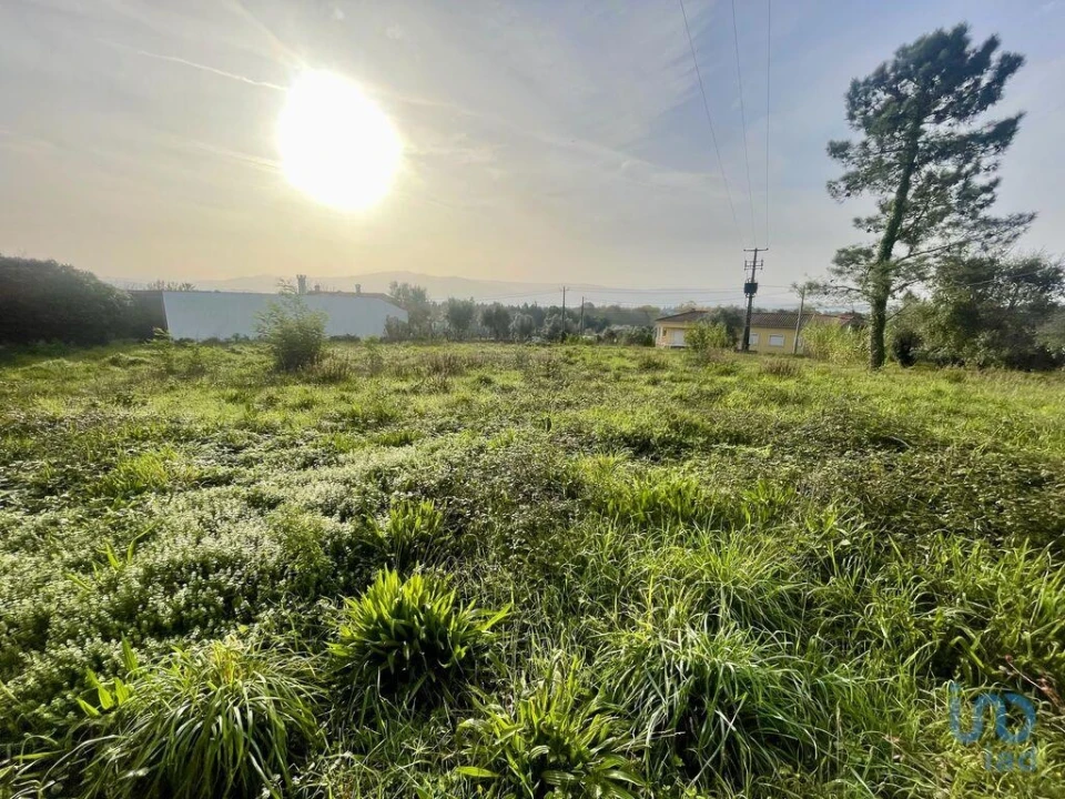 Terreno para Venda em Arrifana Foto 2