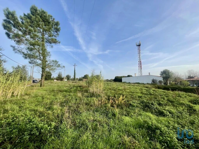 Terreno para Venda em Arrifana Foto 4