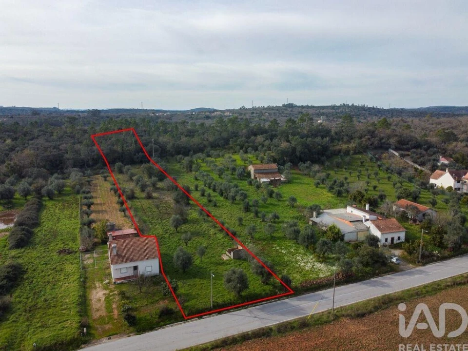 Terreno para Venda em Nossa Senhora do Pranto Foto 19