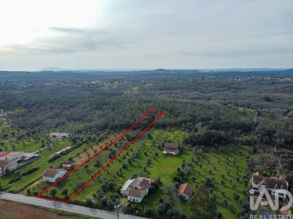 Terreno para Venda em Nossa Senhora do Pranto Foto 17