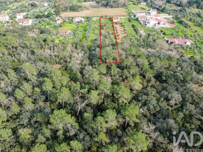 Terreno para Venda em Nossa Senhora do Pranto Foto 26