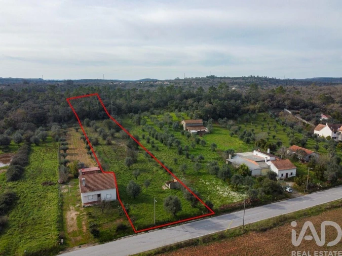 Terreno para Venda em Nossa Senhora do Pranto Foto 19