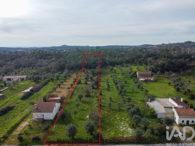 Terreno para Venda em Nossa Senhora do Pranto Foto 20