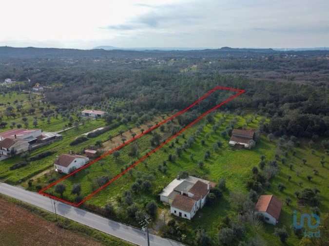 Terreno para Venda em Nossa Senhora do Pranto Foto 5