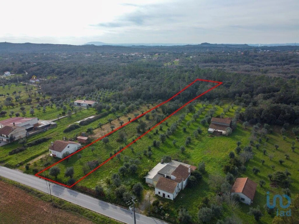 Terreno para Venda em Nossa Senhora do Pranto Foto 5