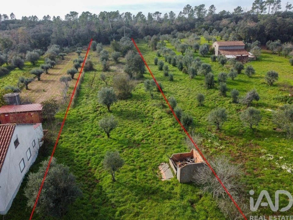 Terreno para Venda em Nossa Senhora do Pranto Foto 23