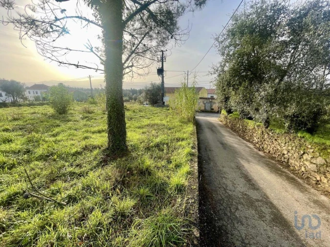 Terreno para Venda em Arrifana Foto 4