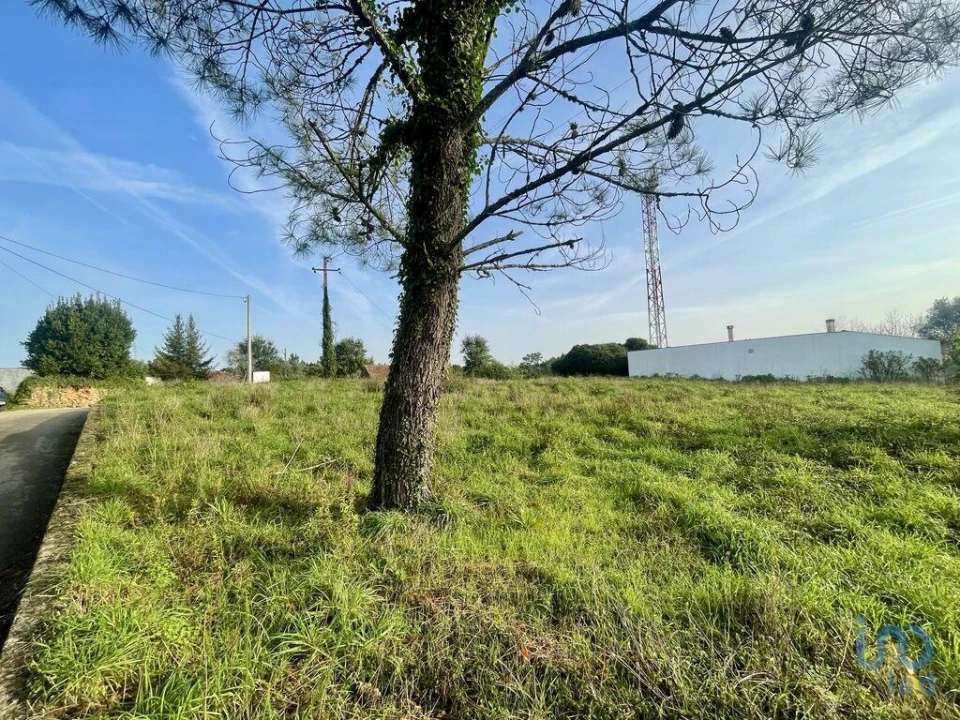 Terreno para Venda em Arrifana Foto 6