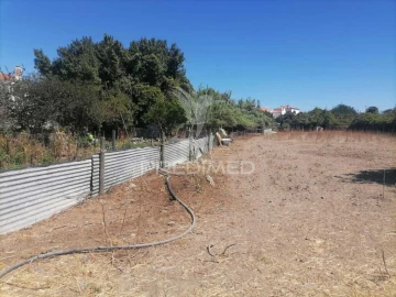 Terreno para Venda em Alagoa