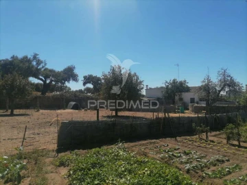 Terreno para Venda em Alagoa