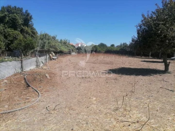 Terreno para Venda em Alagoa