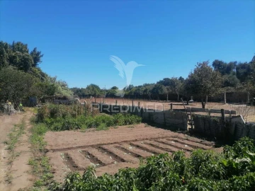 Terreno para Venda em Alagoa