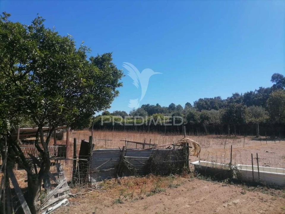 Terreno para Venda em Alagoa Foto 6