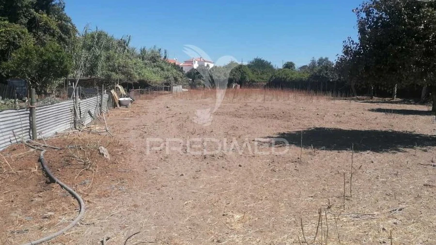 Terreno para Venda em Alagoa